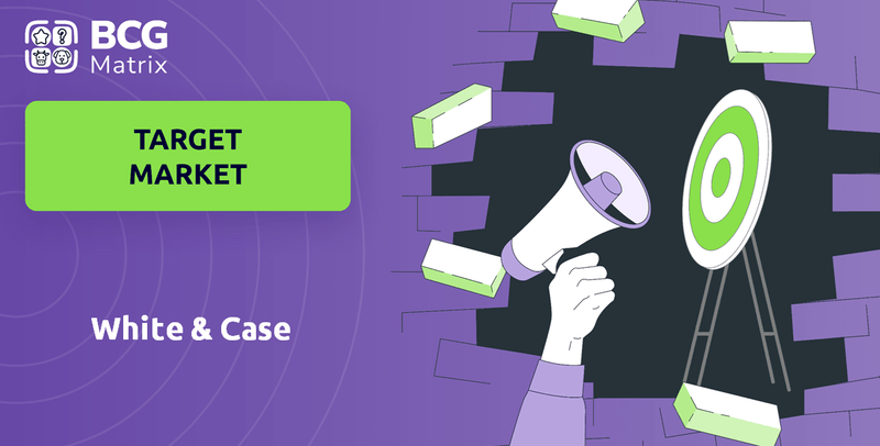 What is Customer Demographics and Target Market of White & Case Company?