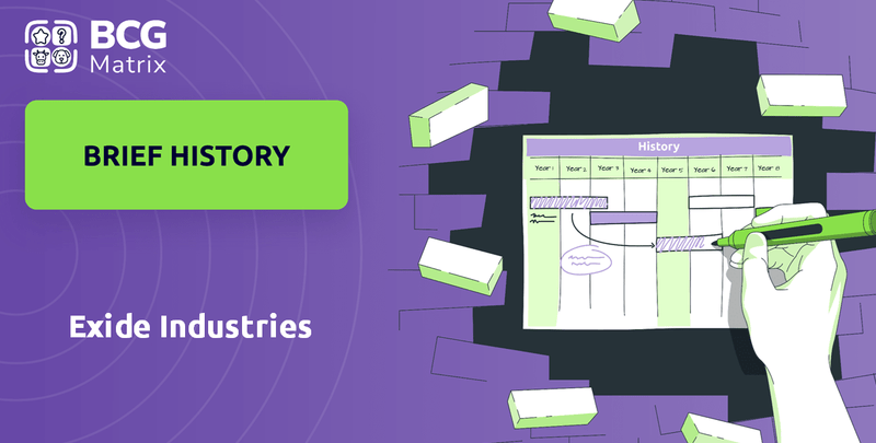 What is Brief History of Exide Industries Company?