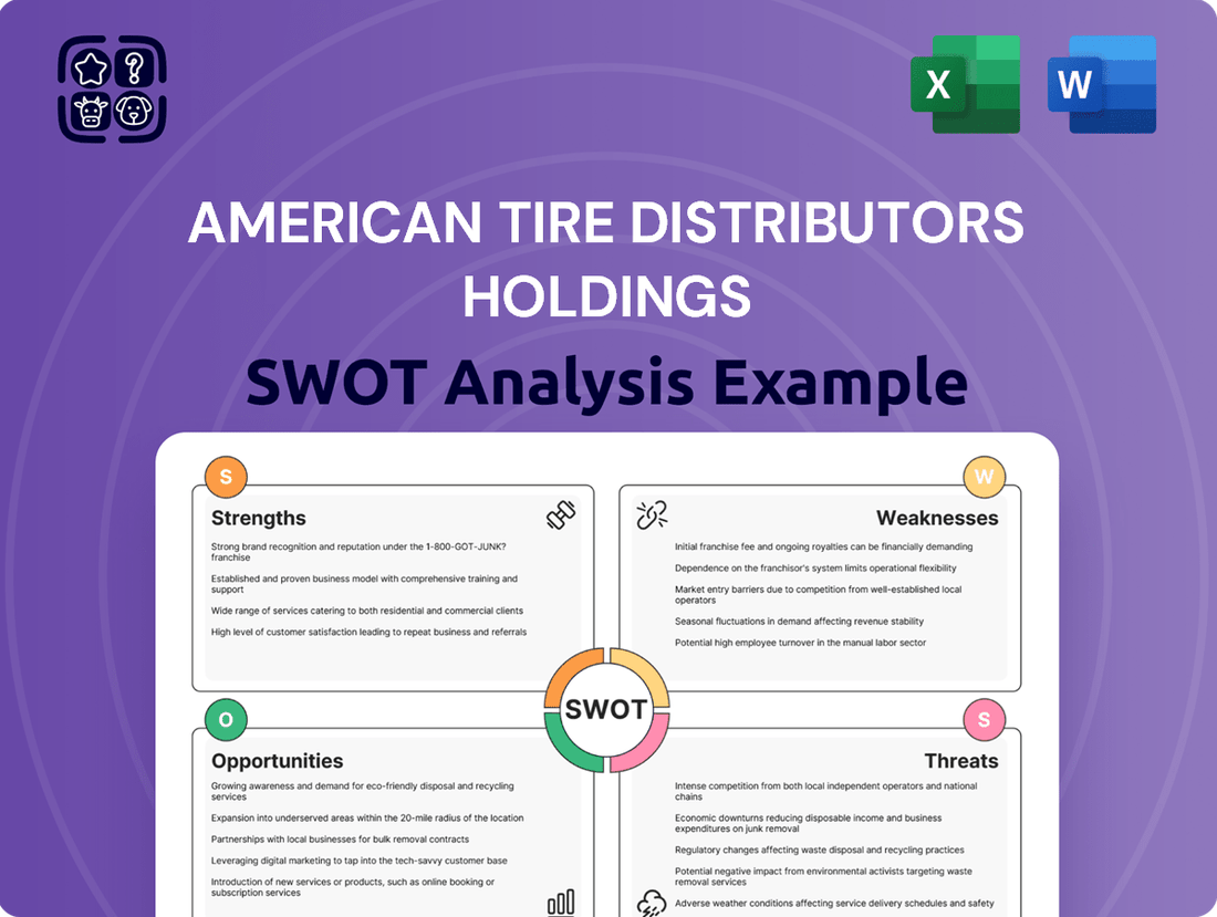 American Tire Distributors Holdings SWOT Analysis