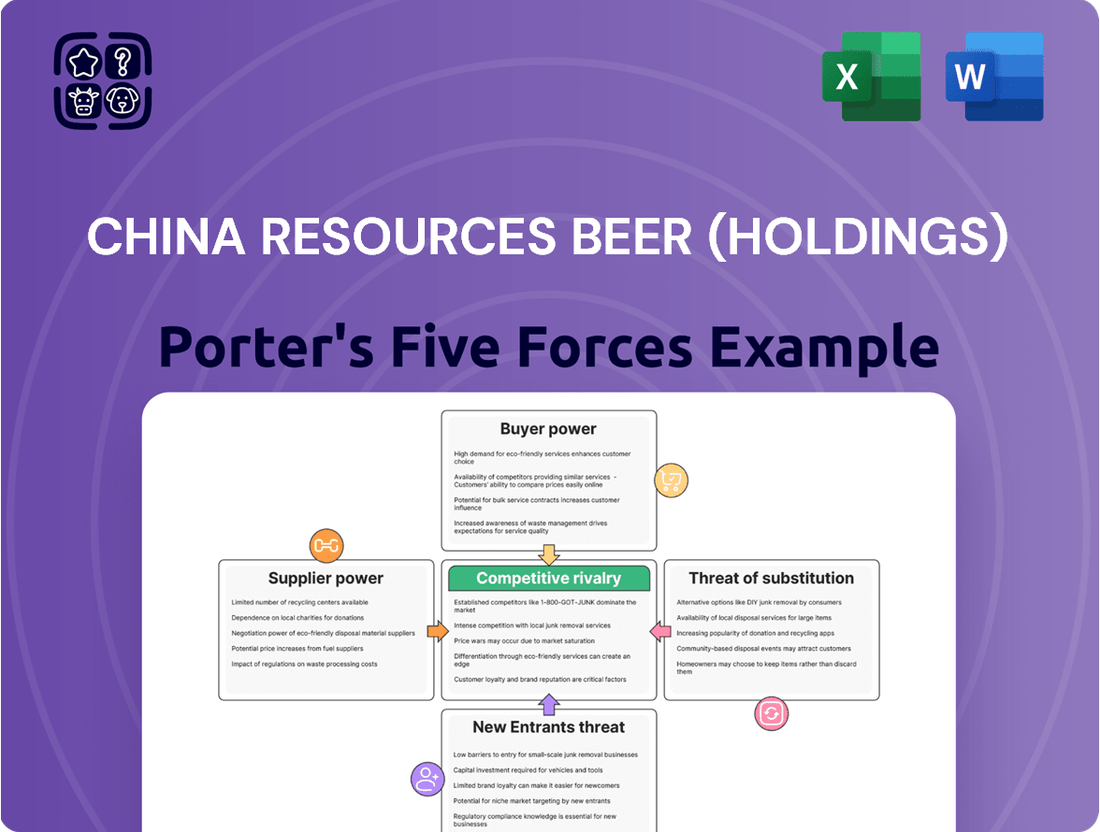 China Resources Beer (Holdings) Porter's Five Forces Analysis