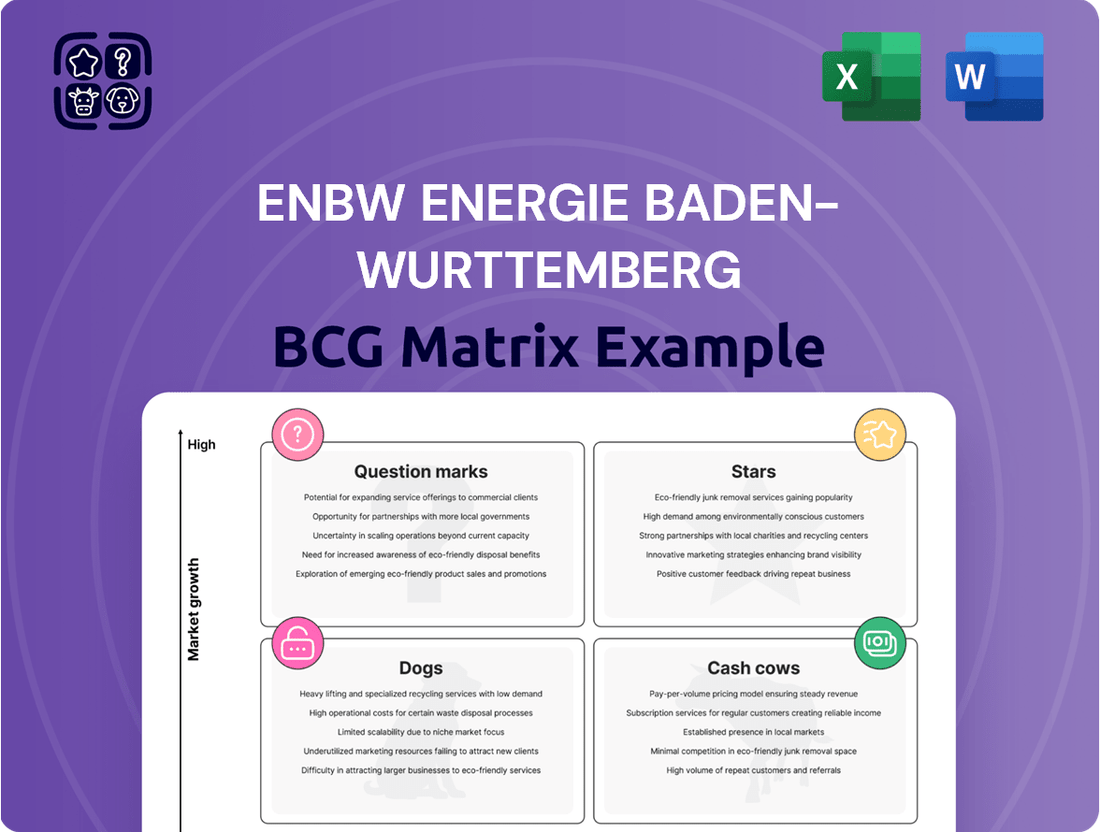 EnBW Energie Baden-Wurttemberg Boston Consulting Group Matrix