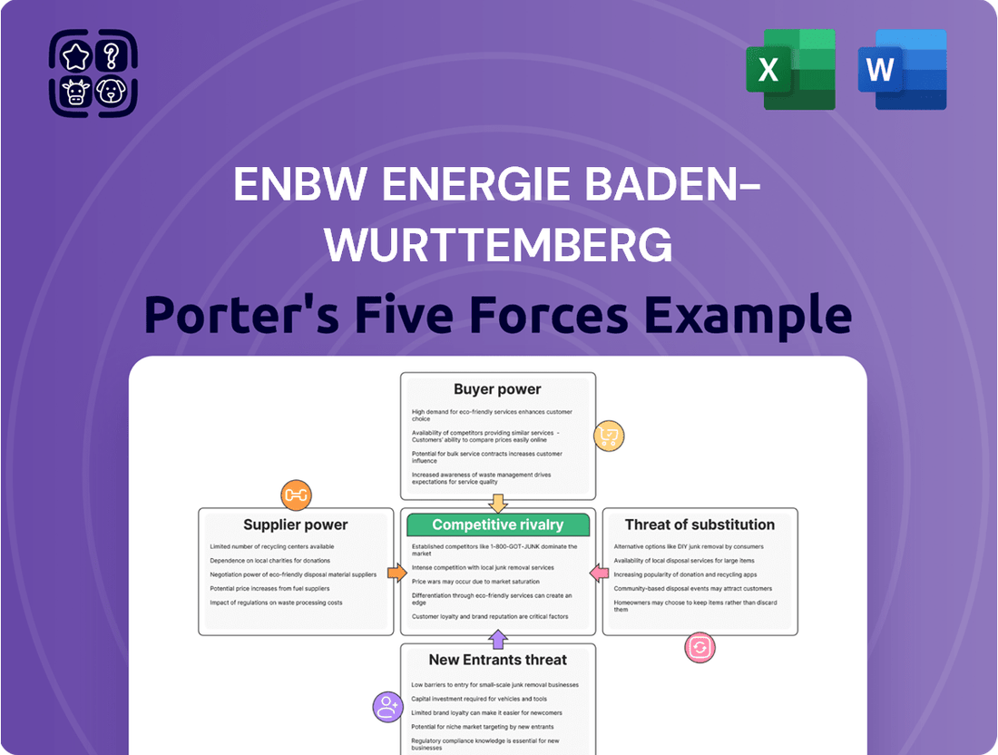 EnBW Energie Baden-Wurttemberg Porter's Five Forces Analysis