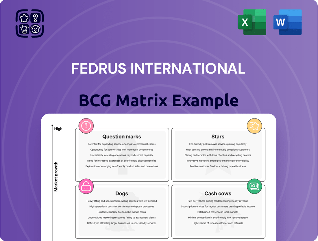 Fedrus International Boston Consulting Group Matrix