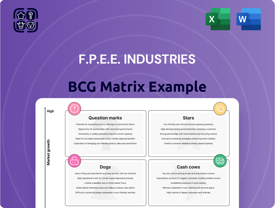F.P.E.E. Industries Boston Consulting Group Matrix