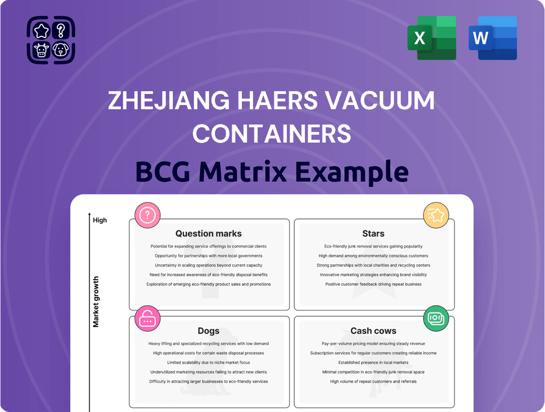 Zhejiang Haers Vacuum Containers Boston Consulting Group Matrix
