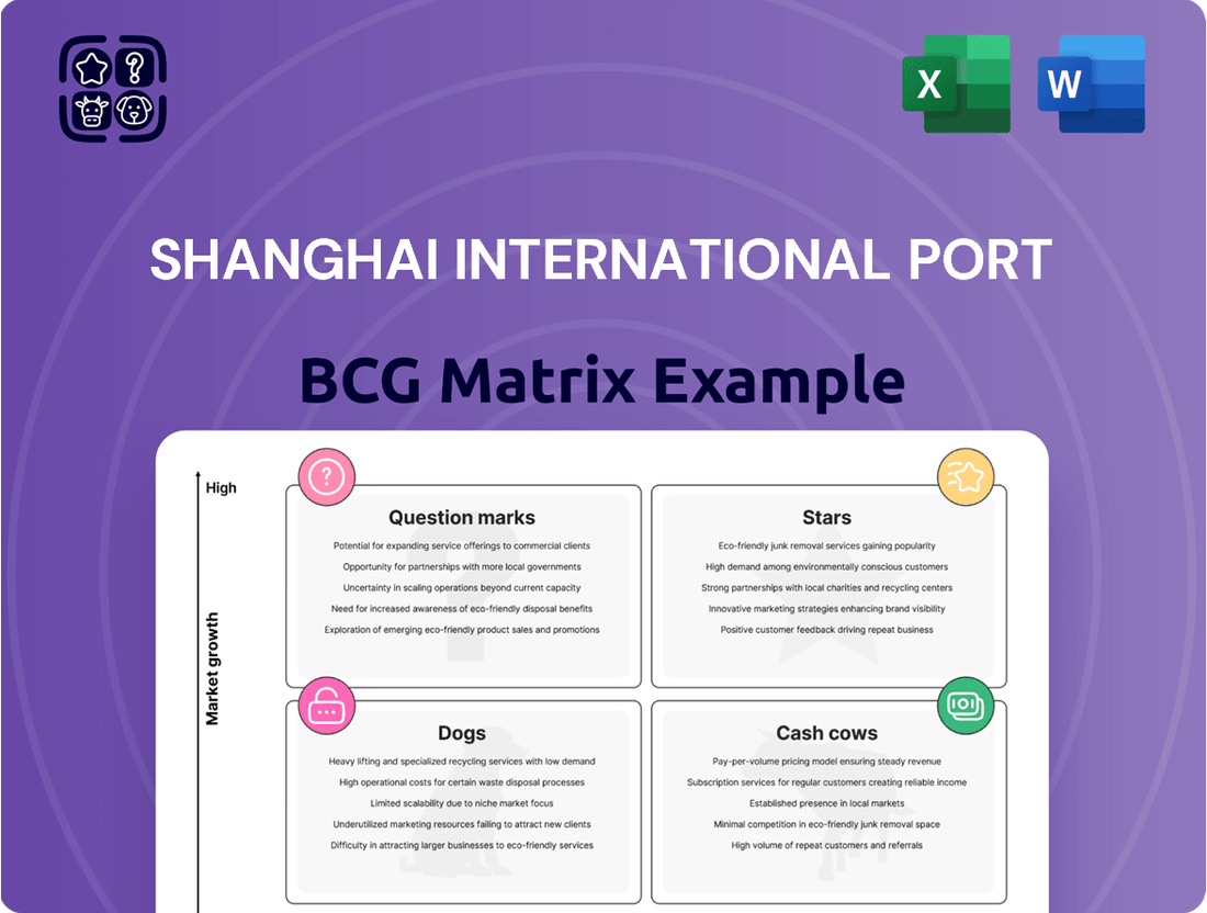 Shanghai International Port Boston Consulting Group Matrix