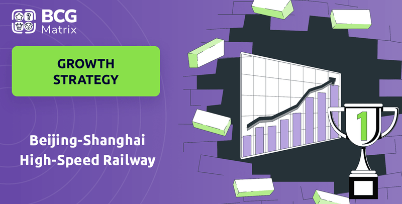 What is Growth Strategy and Future Prospects of Beijing-Shanghai High-Speed Railway Company?