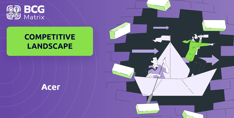 What is Competitive Landscape of Acer Company?