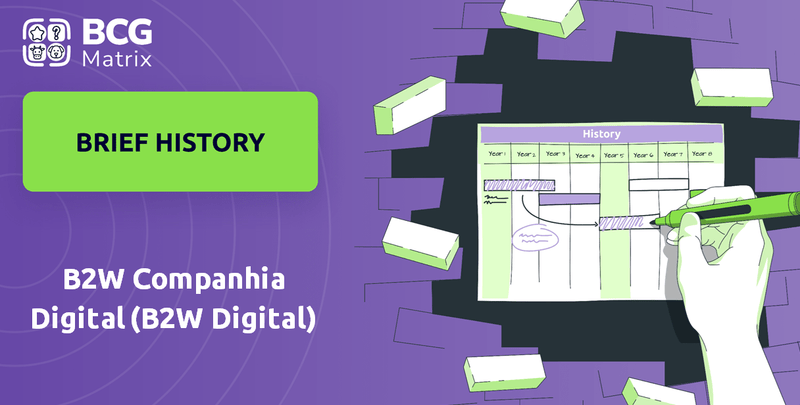 What is Brief History of B2W Companhia Digital (B2W Digital) Company?