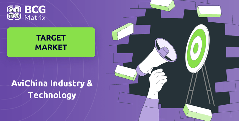 What is Customer Demographics and Target Market of AviChina Industry & Technology Company?