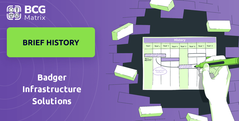 What is Brief History of Badger Infrastructure Solutions Company?