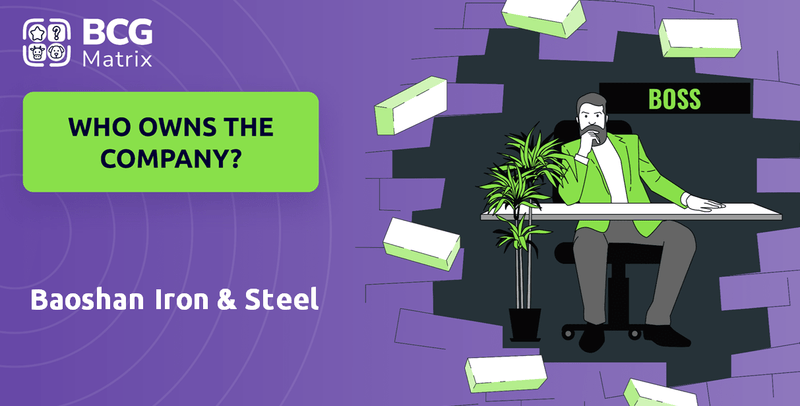 Who Owns Baoshan Iron & Steel Company?