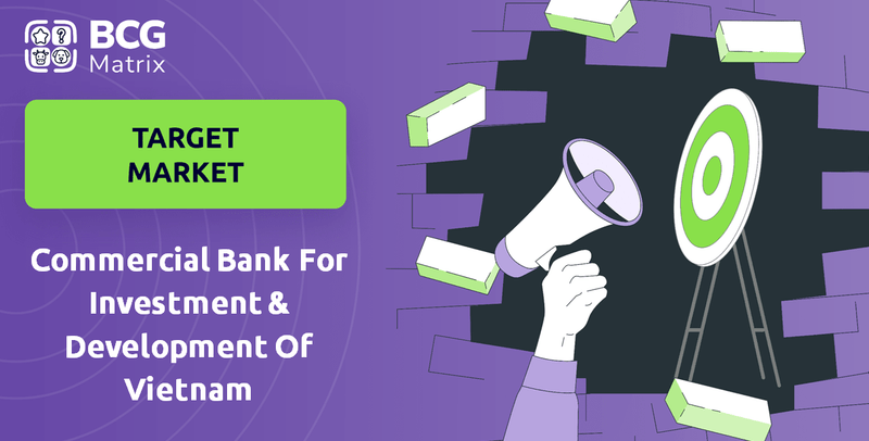 What is Customer Demographics and Target Market of Commercial Bank For Investment & Development Of Vietnam Company?