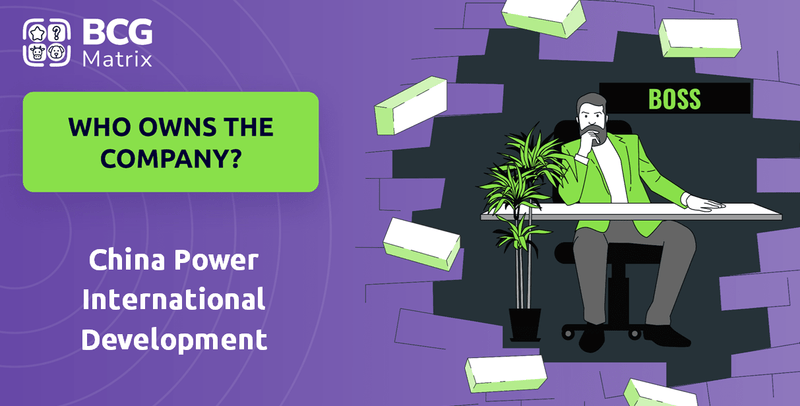 Who Owns China Power International Development Company?