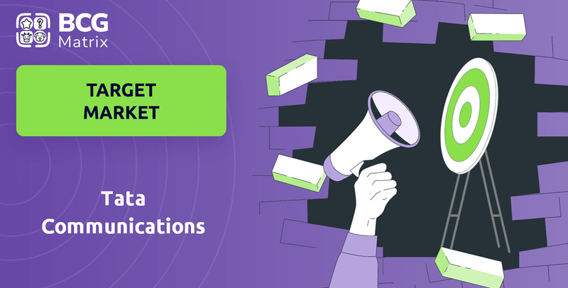What is Customer Demographics and Target Market of Tata Communications Company?