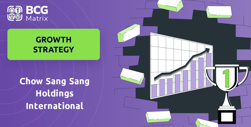 What is Growth Strategy and Future Prospects of Chow Sang Sang Holdings International Company?