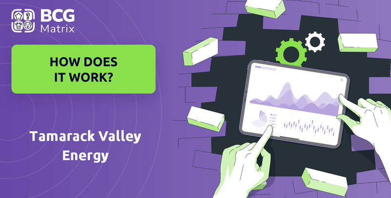 How Does Tamarack Valley Energy Company Work?