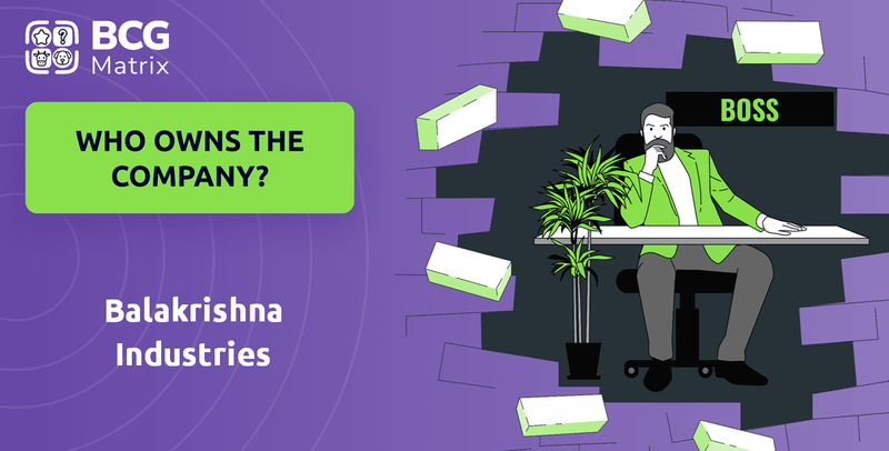 Who Owns Balakrishna Industries Company?