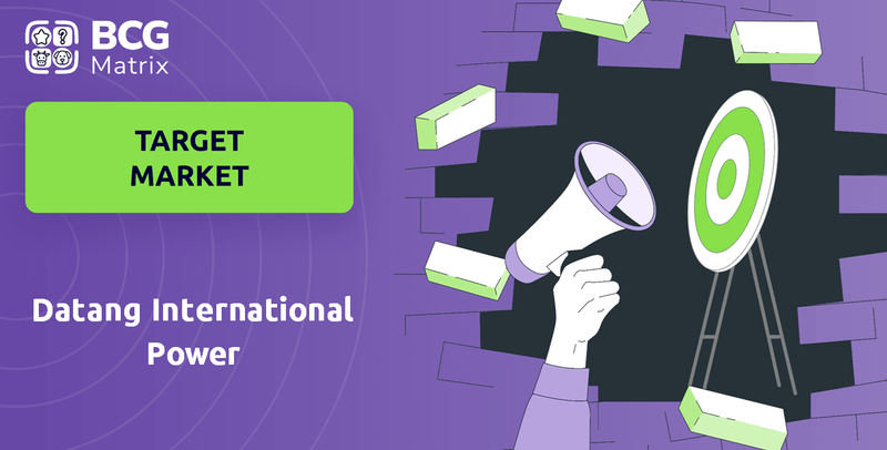 What is Customer Demographics and Target Market of Datang International Power Company?