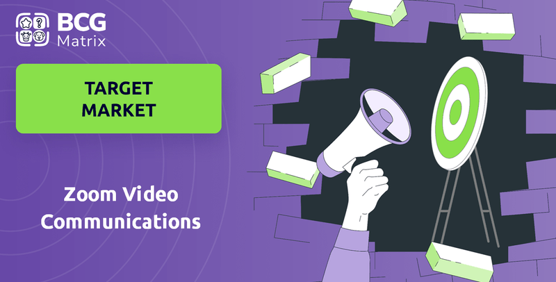 What is Customer Demographics and Target Market of Zoom Video Communications Company?