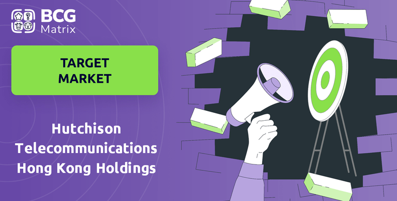 What is Customer Demographics and Target Market of Hutchison Telecommunications Hong Kong Holdings Company?