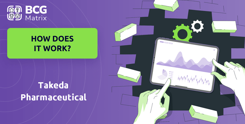 How Does Takeda Pharmaceutical Company Work?