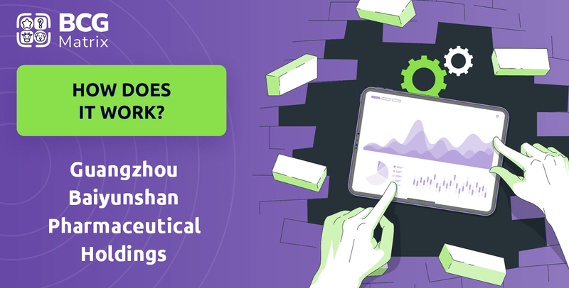 How Does Guangzhou Baiyunshan Pharmaceutical Holdings Company Work?