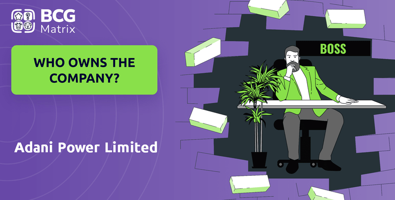 Who Owns Adani Power Limited Company?