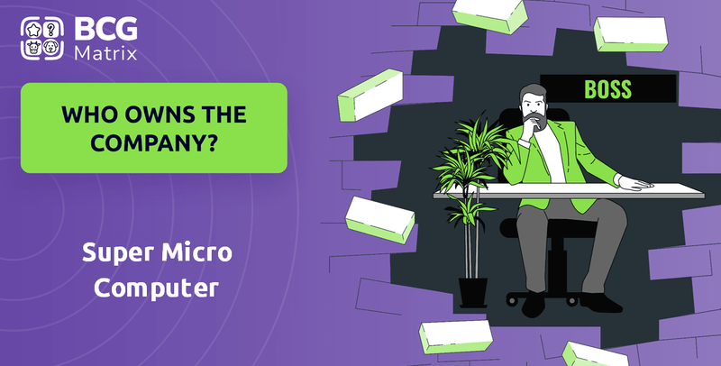 Who Owns Super Micro Computer Company?