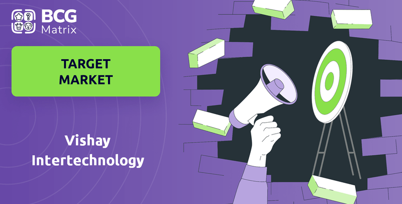 What is Customer Demographics and Target Market of Vishay Intertechnology Company?