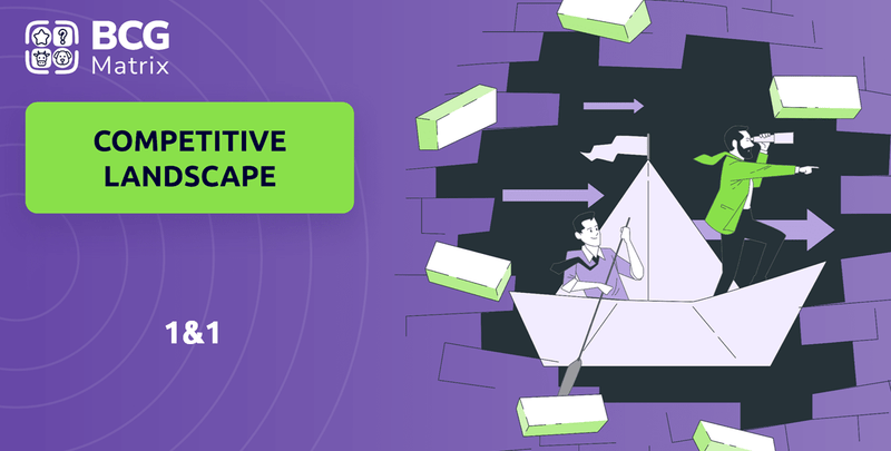 What is Competitive Landscape of 1&1 Company?