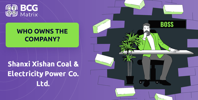 Who Owns Shanxi Xishan Coal & Electricity Power Co. Ltd. Company?