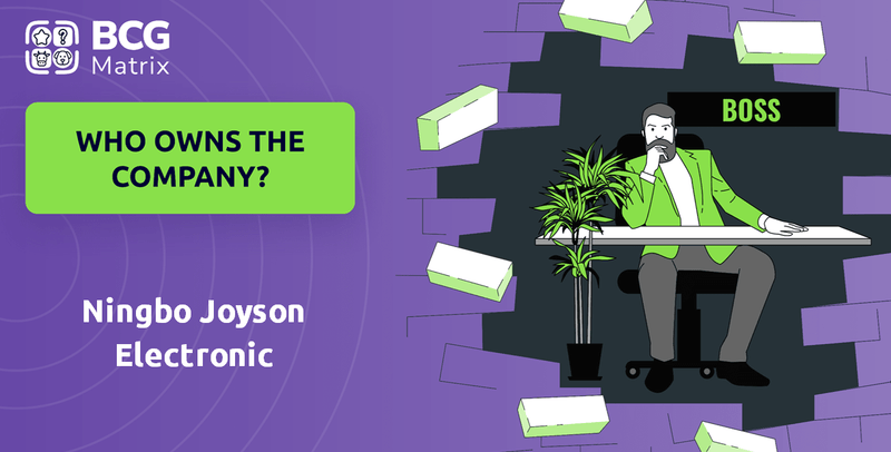 Who Owns Ningbo Joyson Electronic Company?