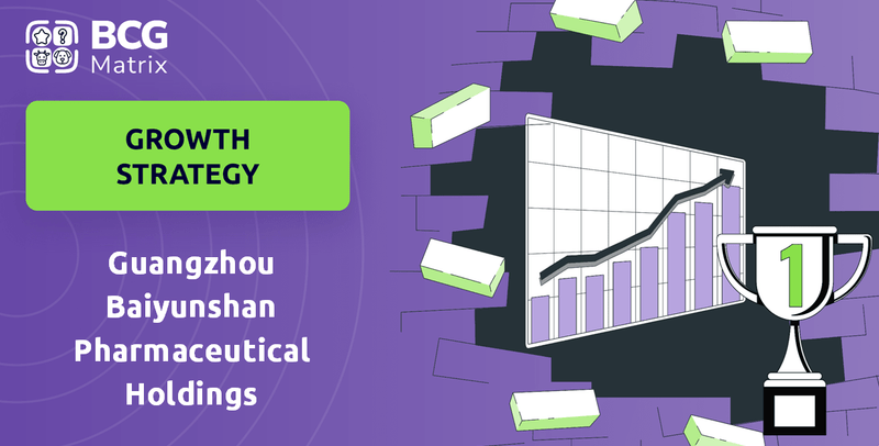What is Growth Strategy and Future Prospects of Guangzhou Baiyunshan Pharmaceutical Holdings Company?