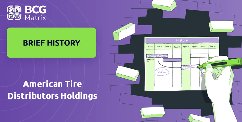 What is Brief History of American Tire Distributors Holdings Company?