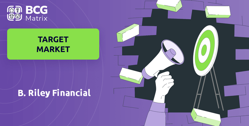 What is Customer Demographics and Target Market of B. Riley Financial Company?