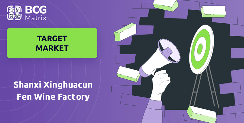 What is Customer Demographics and Target Market of Shanxi Xinghuacun Fen Wine Factory Company?