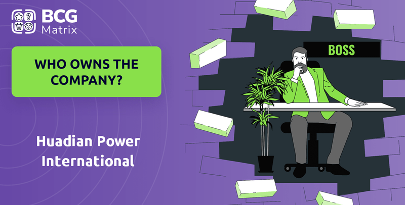 Who Owns Huadian Power International Company?