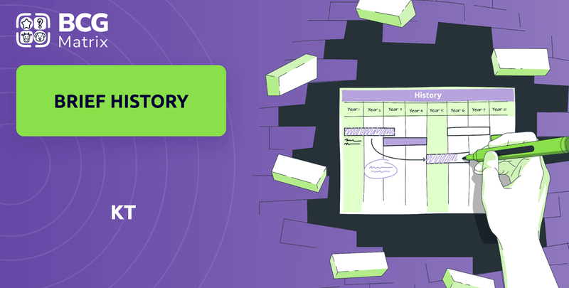What is Brief History of KT Company?