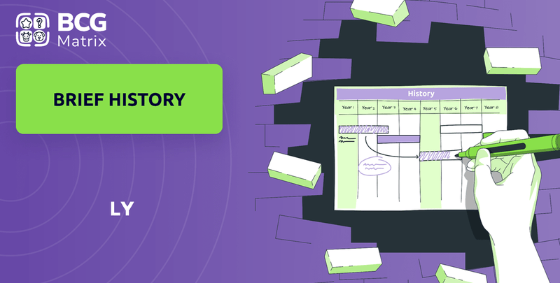 What is Brief History of LY Company?