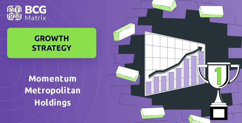 What is Growth Strategy and Future Prospects of Momentum Metropolitan Holdings Company?