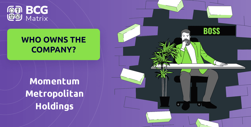 Who Owns Momentum Metropolitan Holdings Company?
