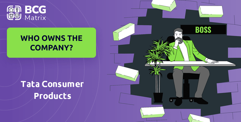 Who Owns Tata Consumer Products Company?