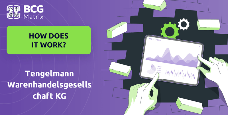 How Does Tengelmann Warenhandelsgesellschaft KG Company Work?
