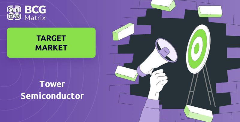 What is Customer Demographics and Target Market of Tower Semiconductor Company?