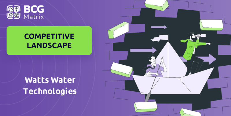 What is Competitive Landscape of Watts Water Technologies Company?