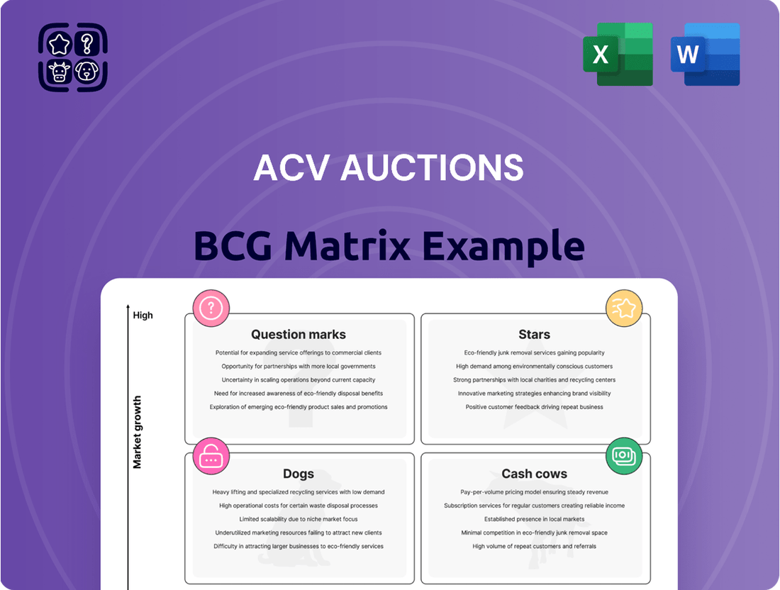 ACV Auctions Boston Consulting Group Matrix