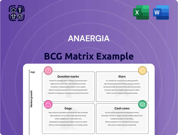 Anaergia Boston Consulting Group Matrix