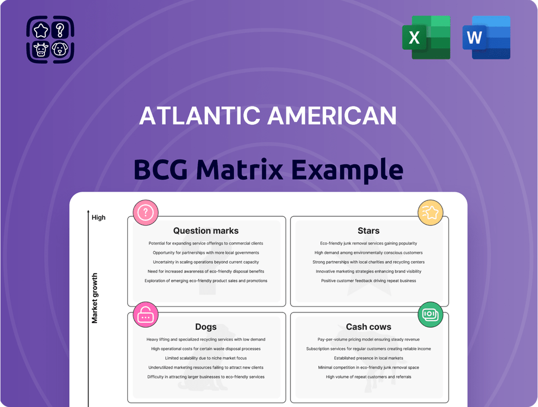 Atlantic American Boston Consulting Group Matrix