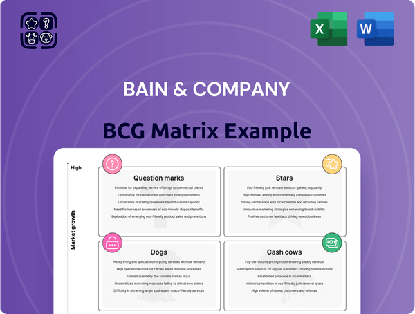 Bain & Company Boston Consulting Group Matrix